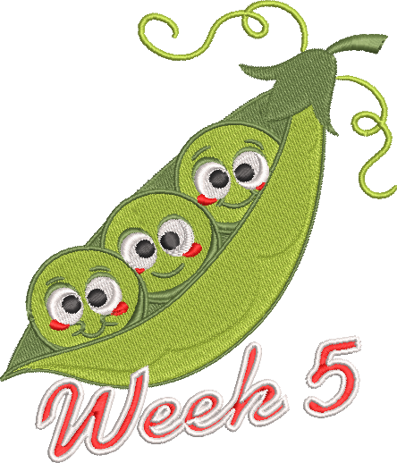 Softstyle Cotton T-Shirt 3-25 weeks Cartoon