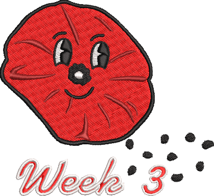 Softstyle Cotton T-Shirt 3-25 weeks Cartoon