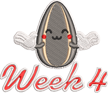 Softstyle Cotton T-Shirt 3-25 weeks Cartoon