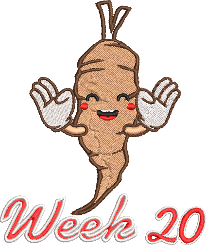 Softstyle Cotton T-Shirt 3-25 weeks Cartoon